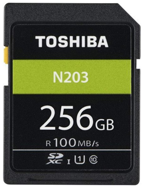Toshiba SD Exceria R100 N203 256GB
